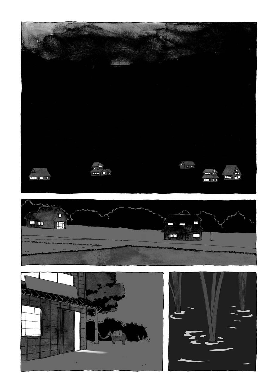 Light and Windows 第3页