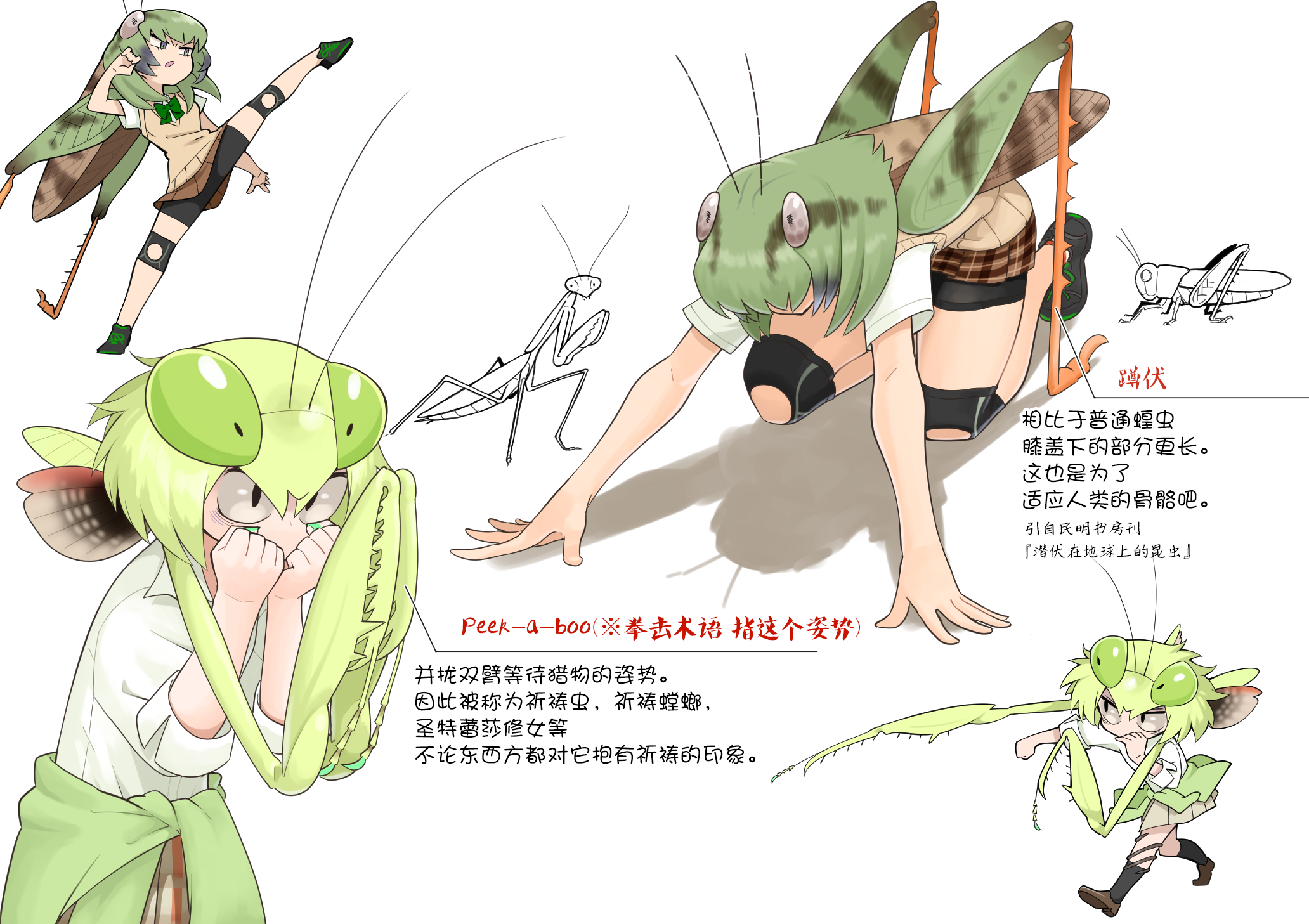 Carnivorous High School Mantis Akiyama 第3页