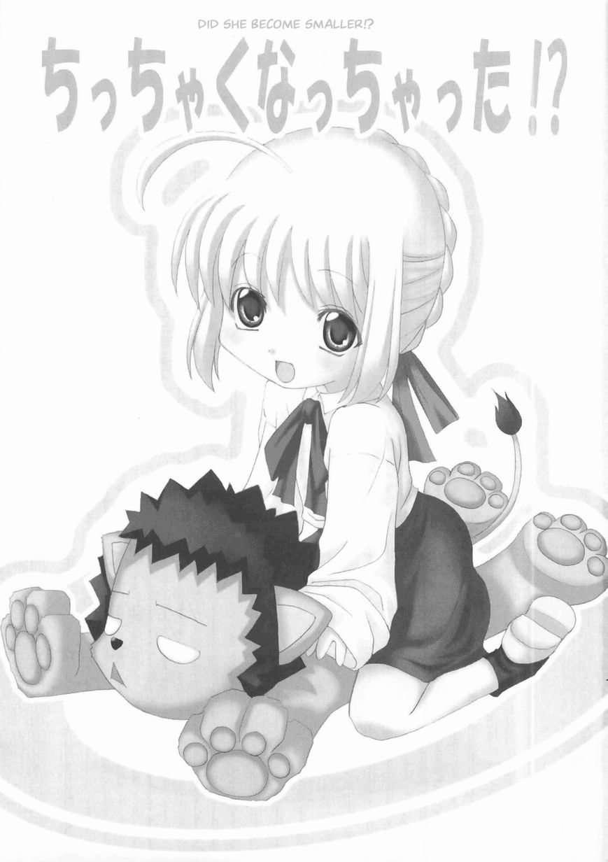 Fate/stay night - Did she become smaller!? (Doujinshi) 第2页