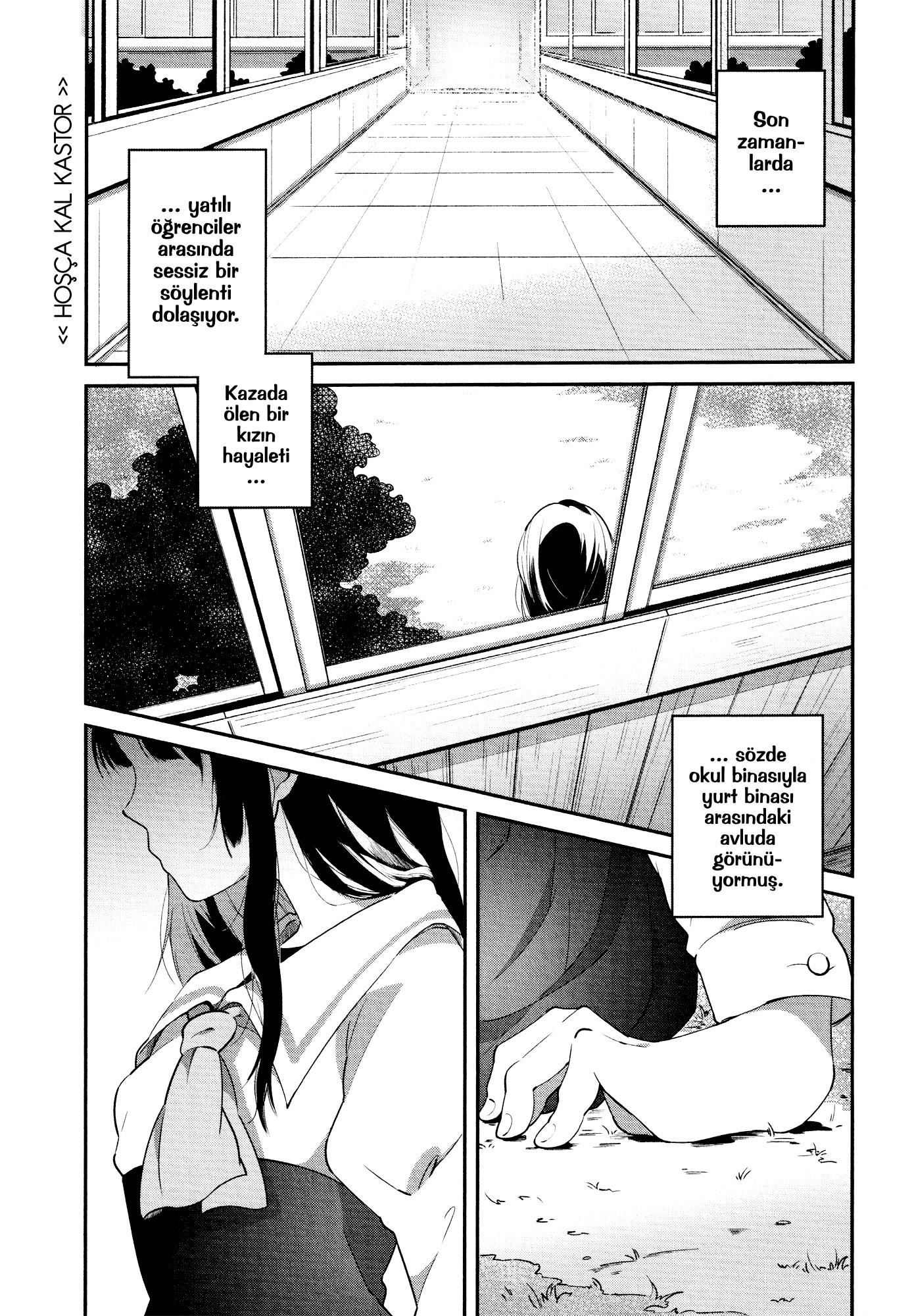 Goodbye Kastor 第1页