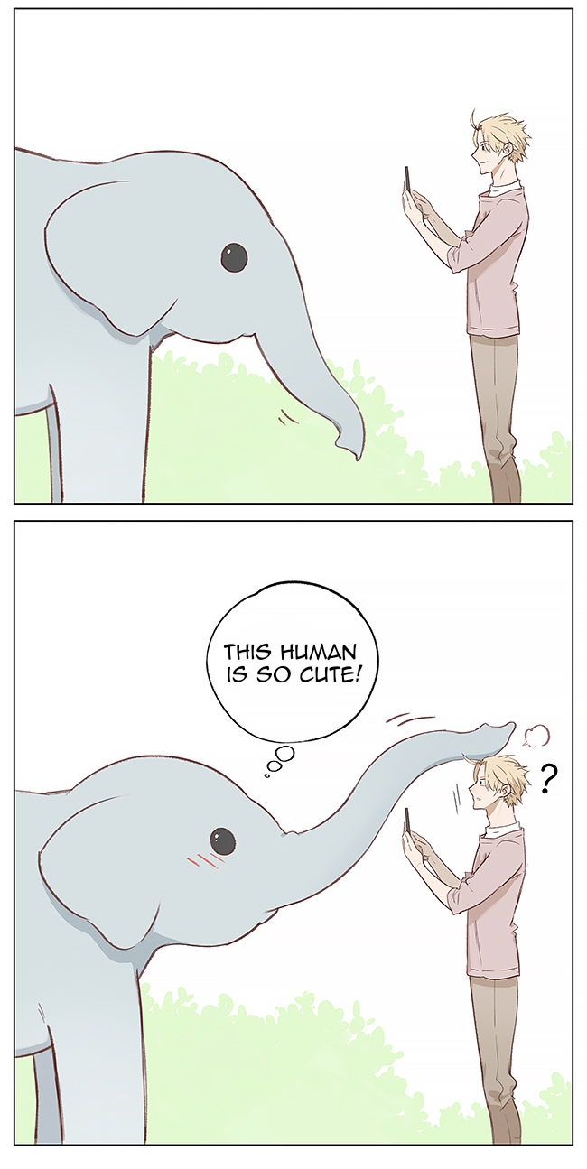 Aman's Animal Tales 第2页