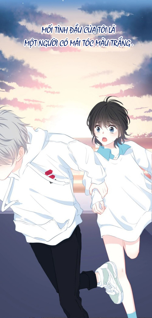 Love Under the Sunset 第5页