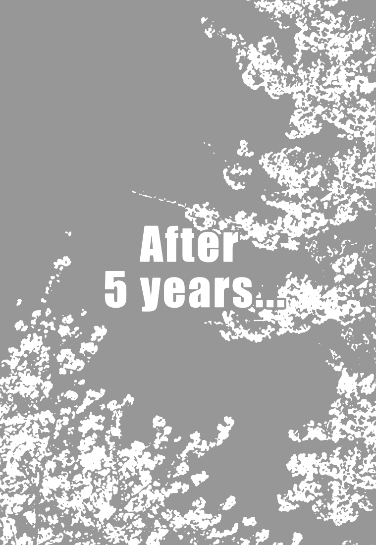 [switch] - After 5 Years... (Doujinshi) 第3页