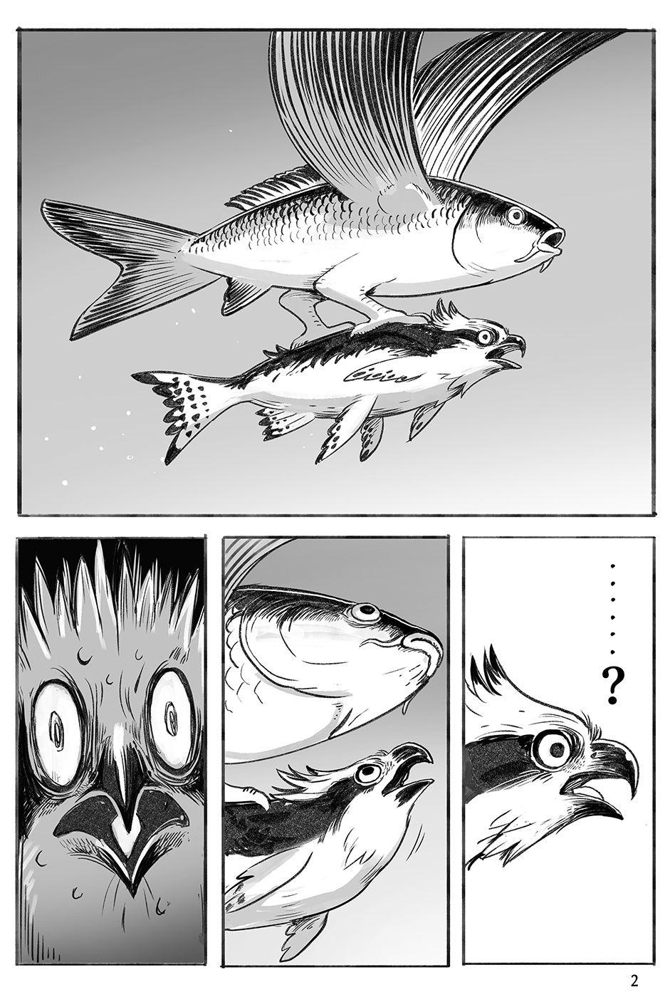 Carp 第7页