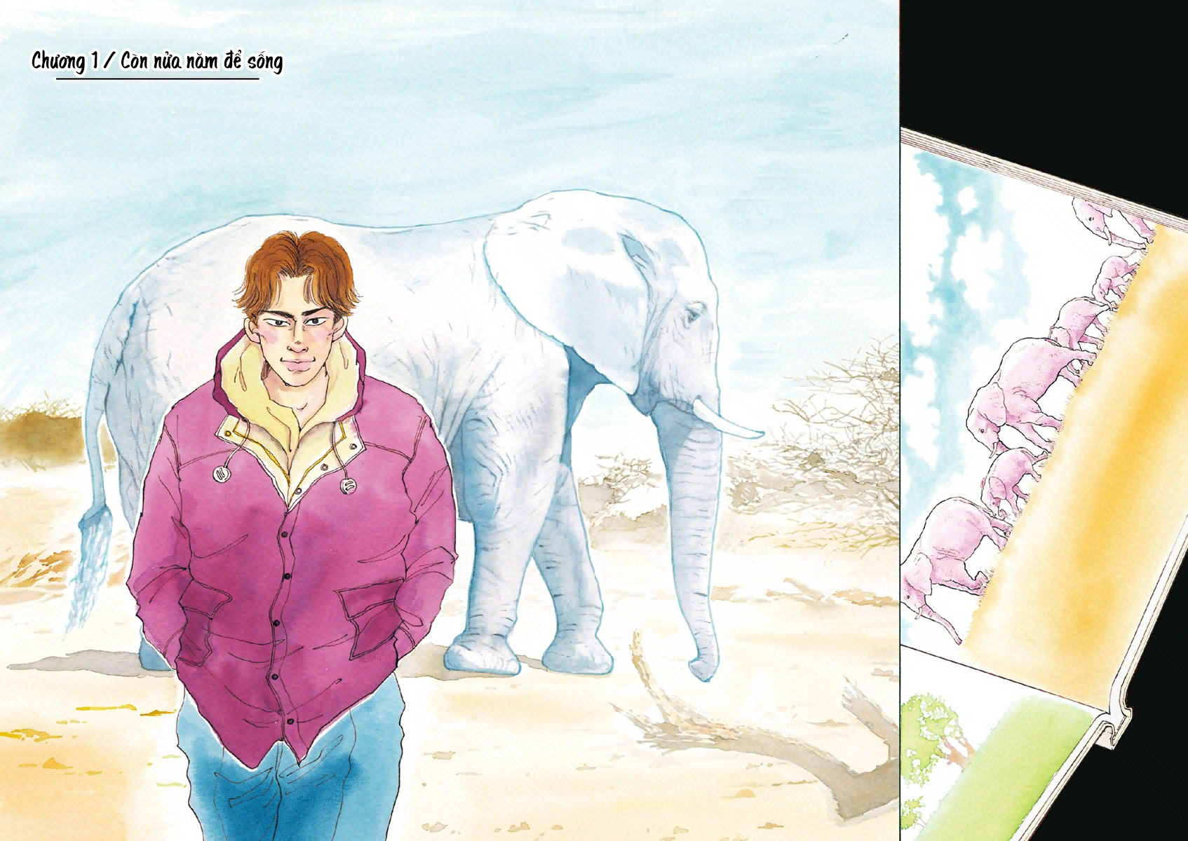 Elephant's Back 第5页