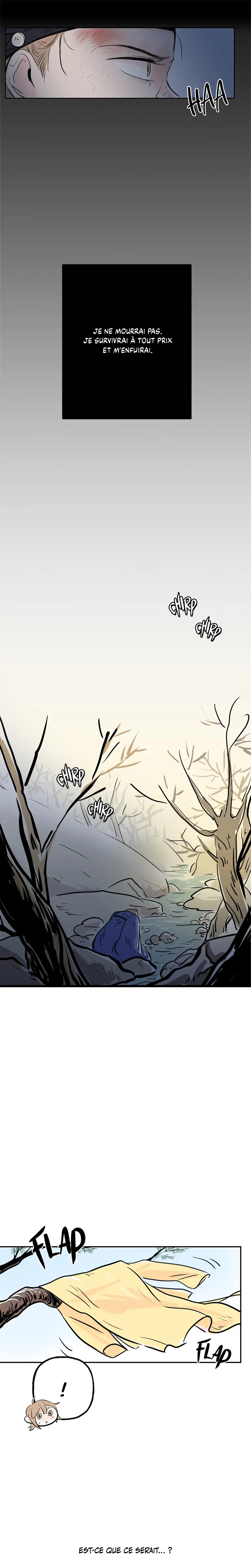 The Boy Who Stole From the Fairy Lake 第3页